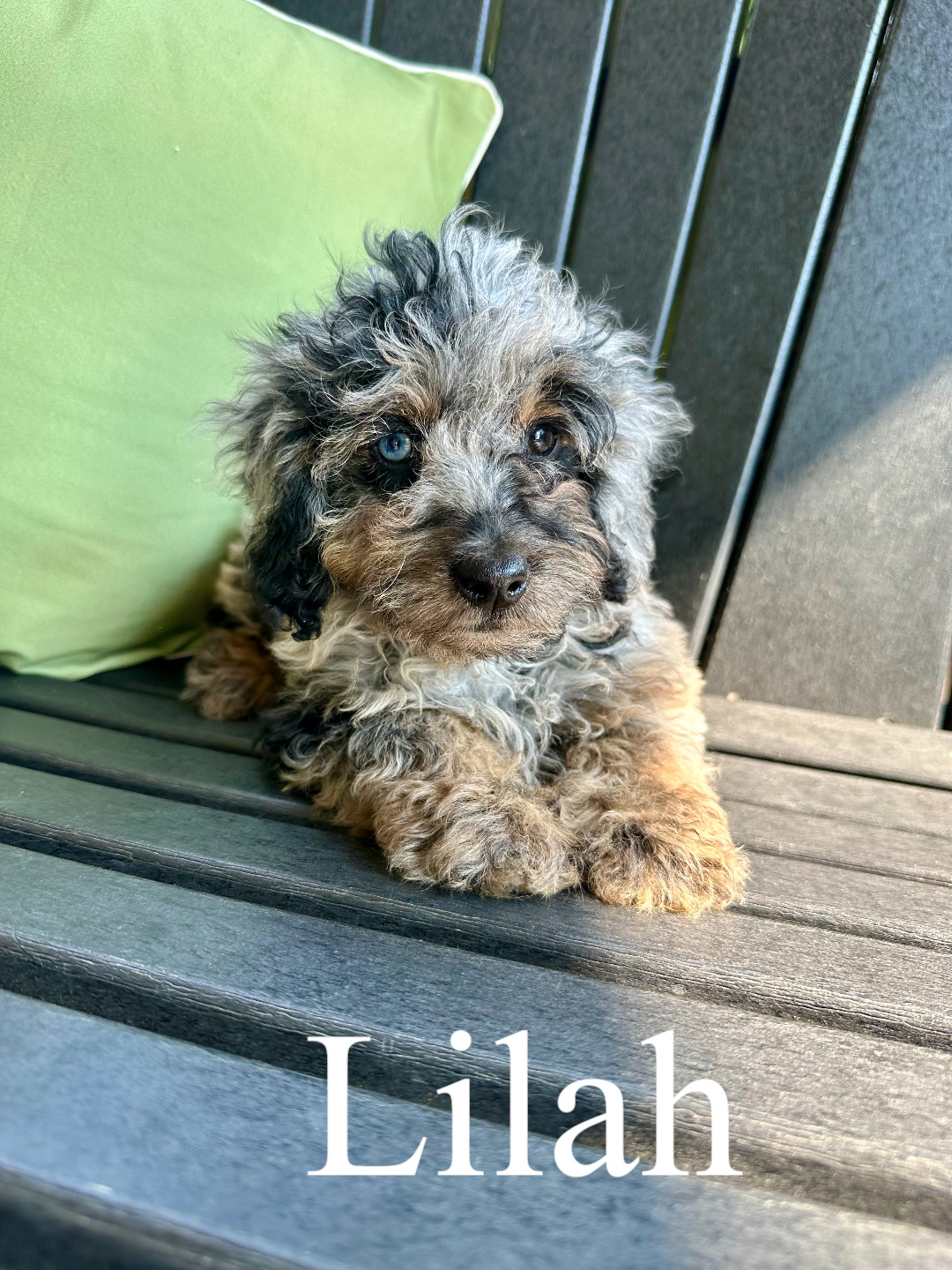 Lilah  1